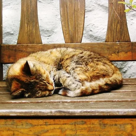 Haus Zur Klamm Апартаменты Берг (Драуталь)