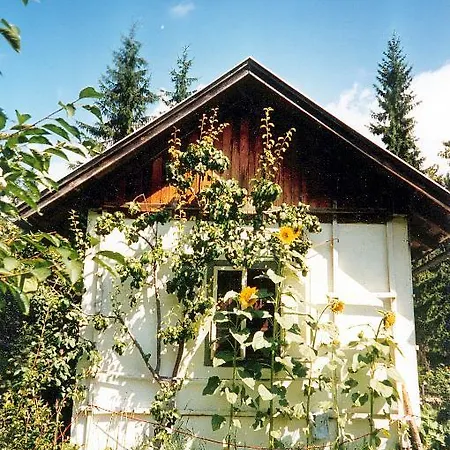 Haus Zur Klamm Apartment