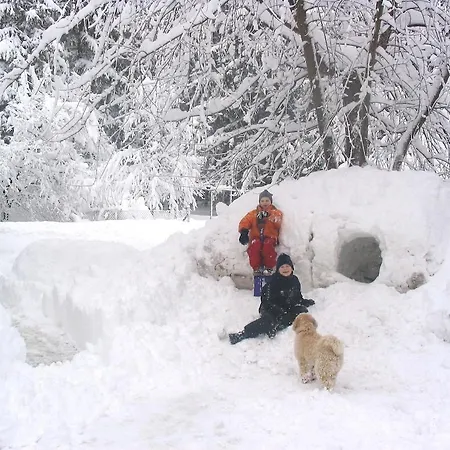 Апартаменты Haus Zur Klamm Берг (Драуталь)